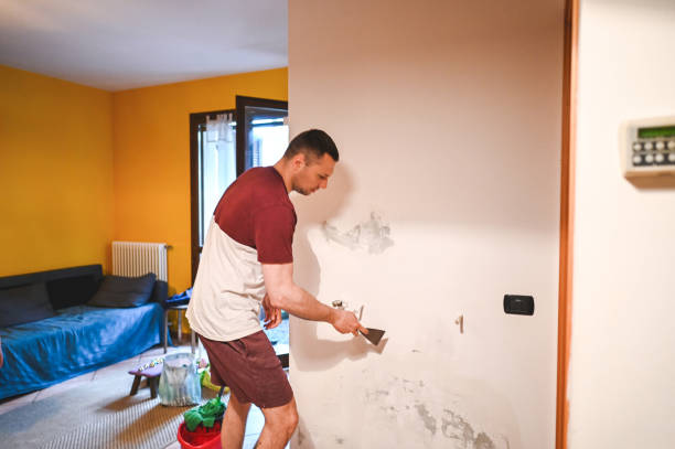 Best Professional Mold Removal  in Trenton, IL